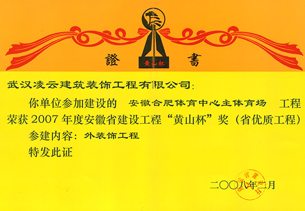 合肥体育中心主体育场