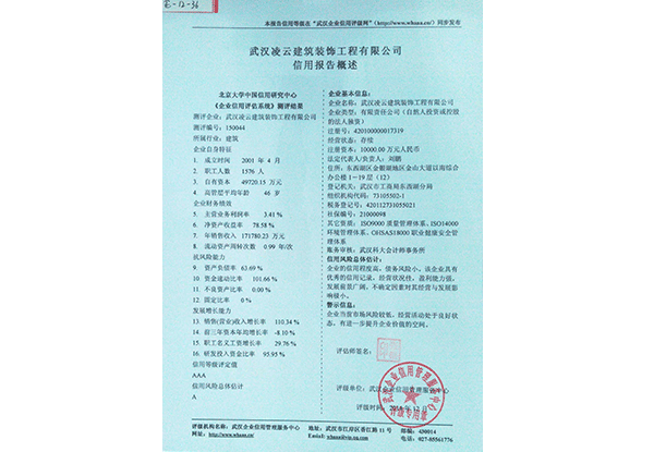 武汉凌云信用报告概述2014.12
